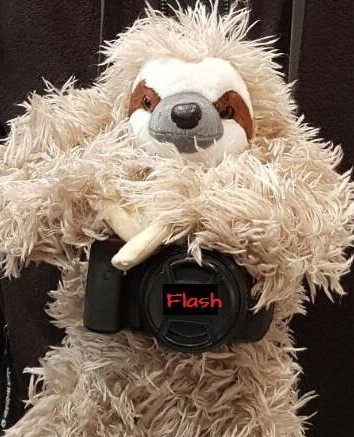 Flash