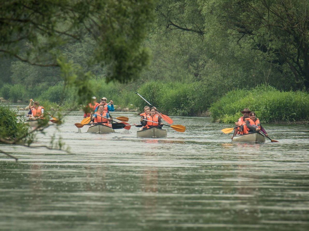 Kanufahrt auf dem Main