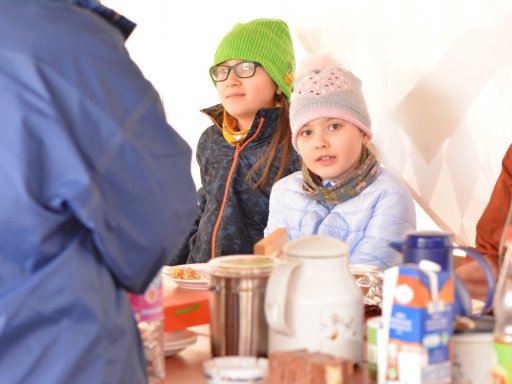 Arbeitseinsatz 2019-1 Bogenplatz
