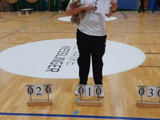 Gaumeisterschaft Bogen Halle 2024