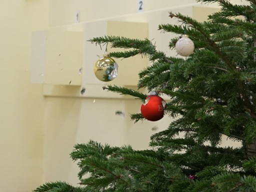 Christbaumkugelschiessen der Aufgelegtschützen 2024
